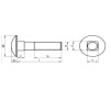 Śruba zamkowa chromoniklowa A2/304 nierdzewne DIN 603 M12x50